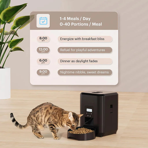Smart automatic cat feeder in black color, battery-powered pet food dispenser