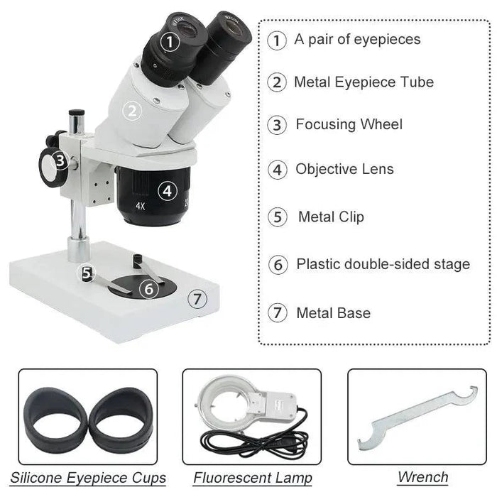 Versatile magnification levels of 10X and 30X for detailed observation