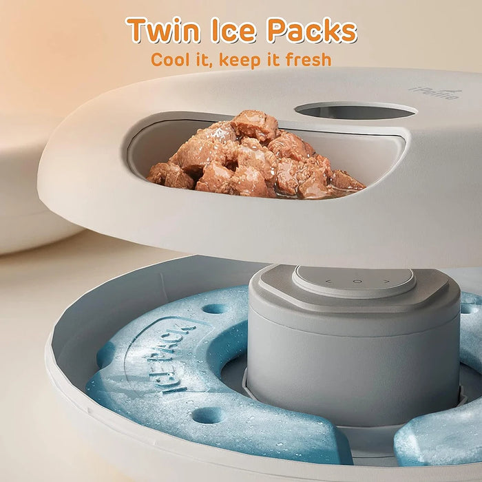 Programmable Feeding Time for Routine and Healthy Eating