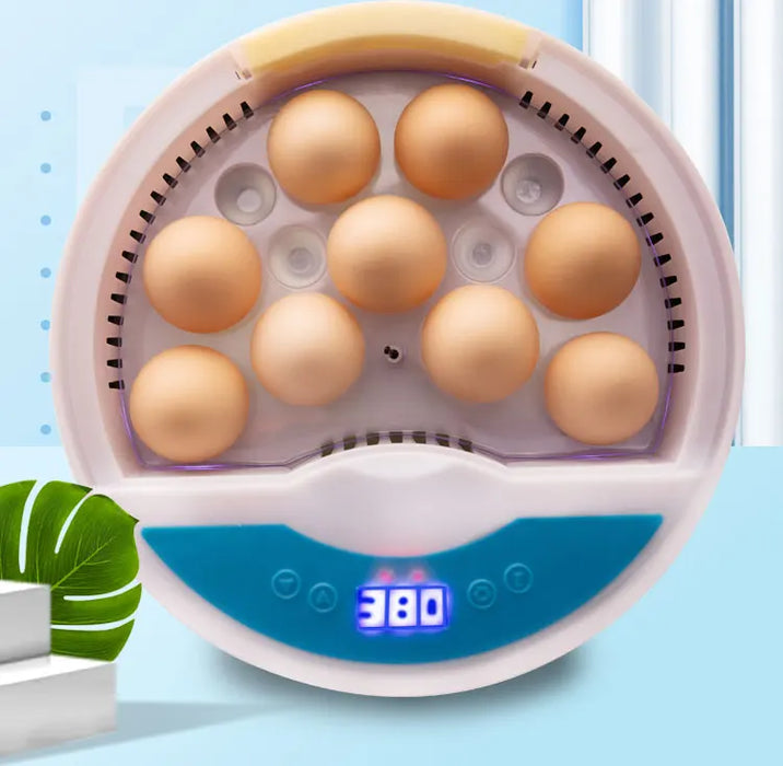 Small 9-Egg Hatching Machine for Poultry and Reptiles