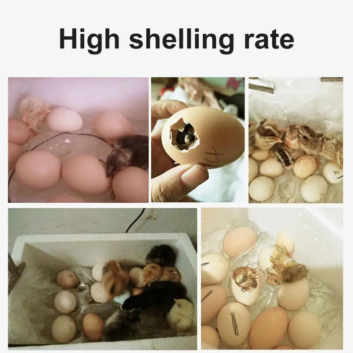 Smart Poultry Egg Incubator 20 Eggs with Biomimetic Heating