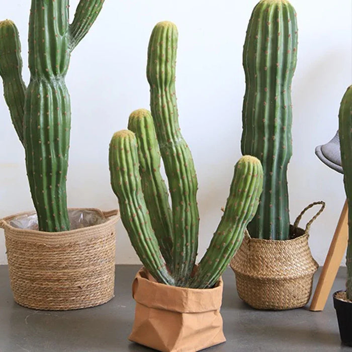 Decorative Cactus Plant Ornament