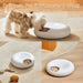 Durable Plastic Smart Pet Feeder for Long-Lasting Use