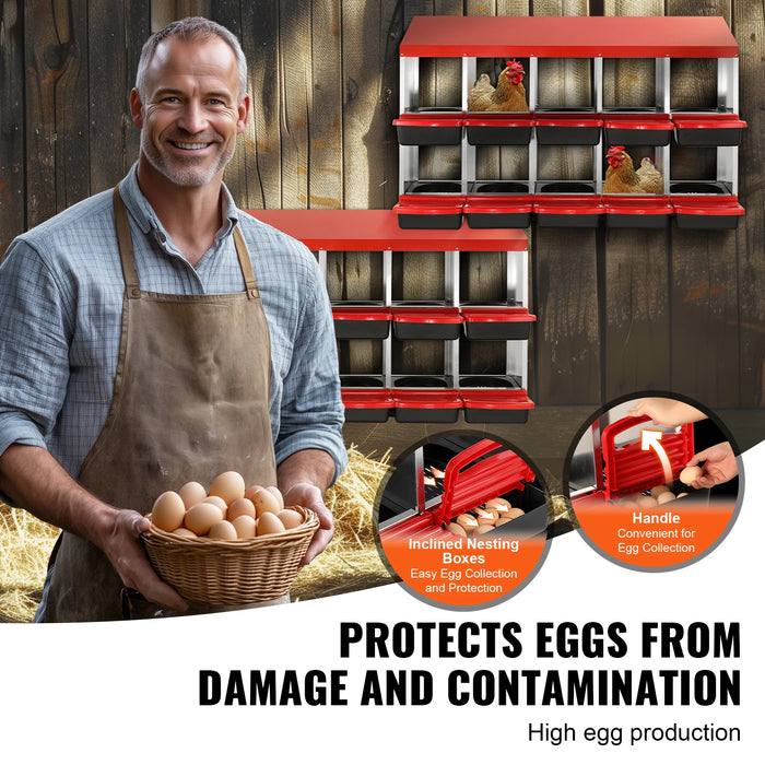 Spacious compartments provide comfortable laying space for hens in various weather conditions