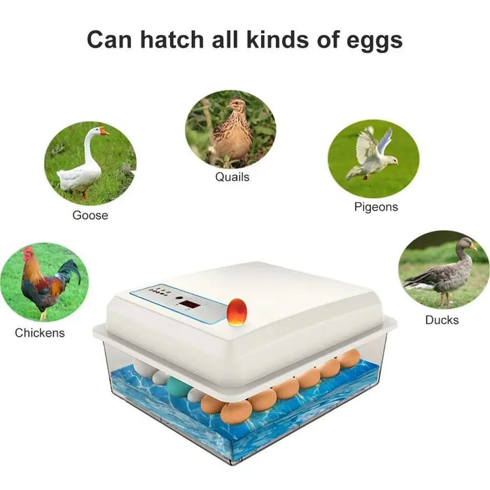 Smart Poultry Egg Incubator 50 Eggs with Biomimetic Heating