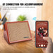 Black 40W Acoustic Guitar Amplifier Bluetooth Speaker with Microphone Input