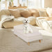 L-Shape Cat and Dog Sofa Bed - A stylish and comfortable lounging area for your furry friends