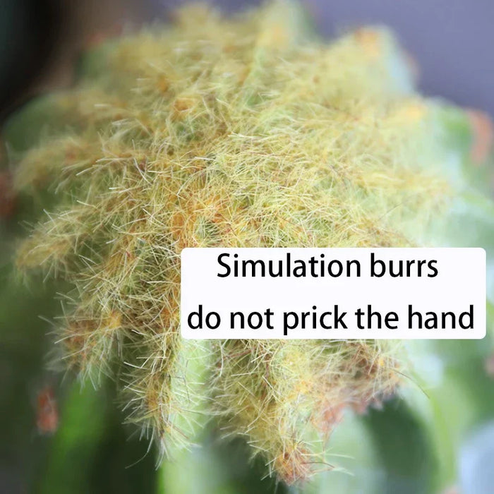 Decorative Cactus Plant Ornament