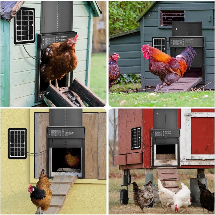 Heavy Duty Chicken Door with Solar Timer and Light Sensor