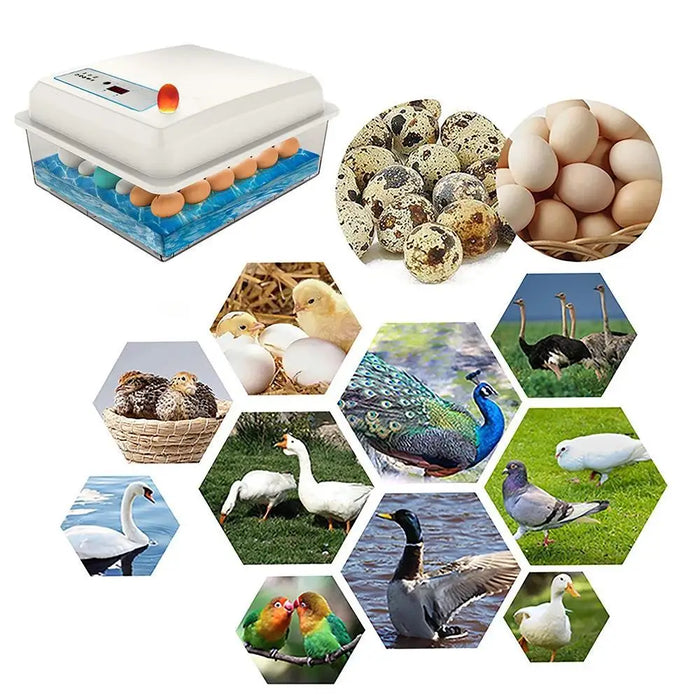 Smart Poultry Egg Incubator 50 Eggs with Biomimetic Heating