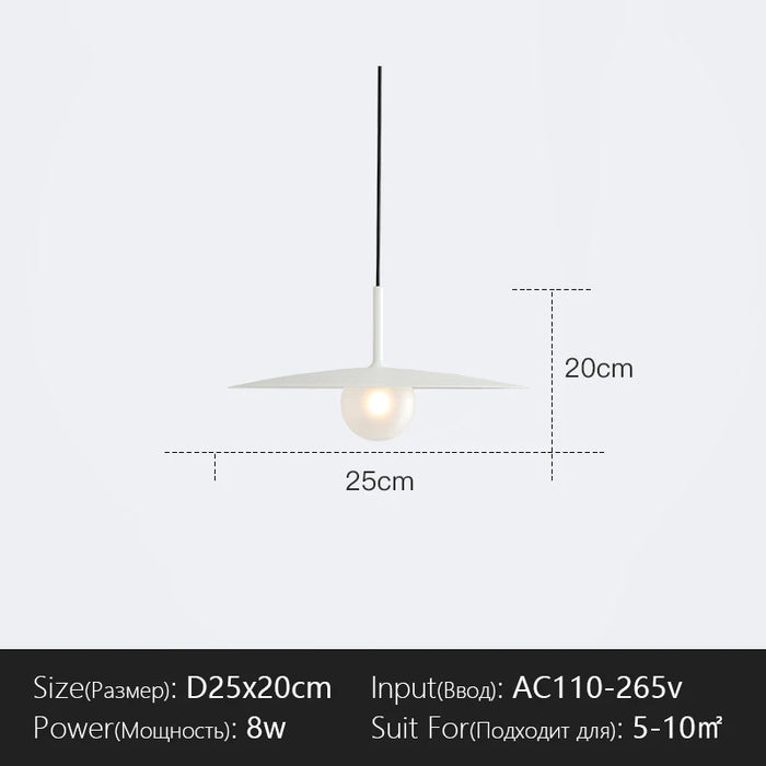 Decorative 25cm Hanging Light Cold White LED Fixture Cold Light