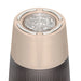 Gold EMS microcurrent microneedling pen with adjustable speed and liquid infusion