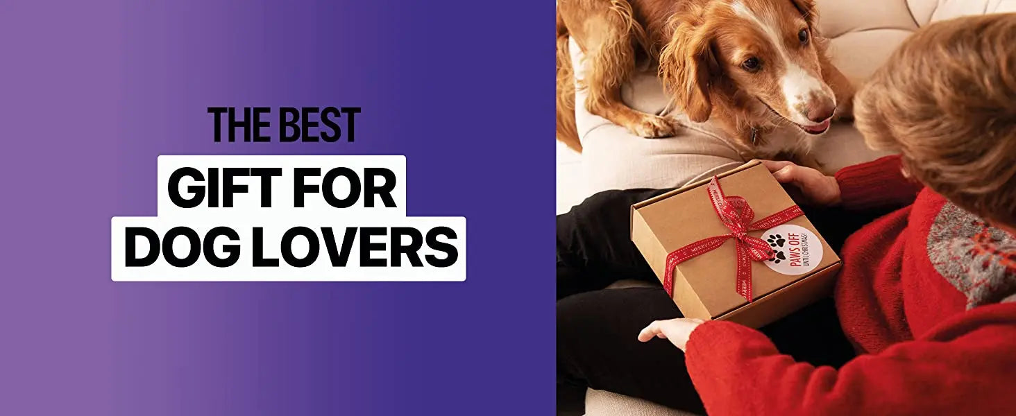 Highly effective, safe, and humane dog training tool