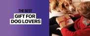 Highly effective, safe, and humane dog training tool