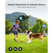 Solar-powered wireless camera with fast and stable dual-band WiFi and local storage options