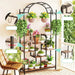 Perfect for getting plants closer to natural light and fresh air
