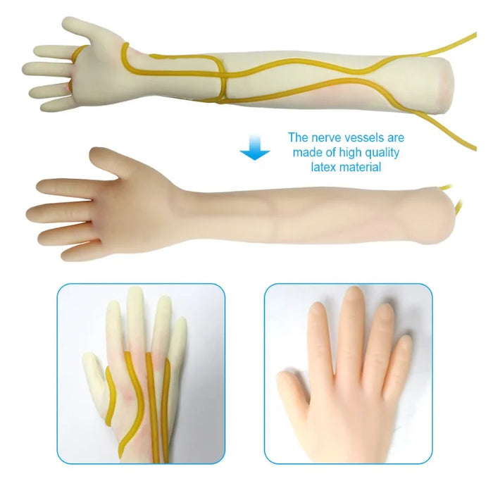Nurse Training Injection Blood Drawing Arm Kit - Phlebotomy, IV Infusion, Venipuncture Practice