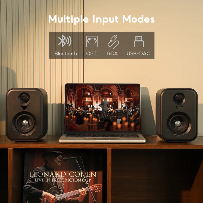Portable Wooden Studio Monitor with Subwoofer Output