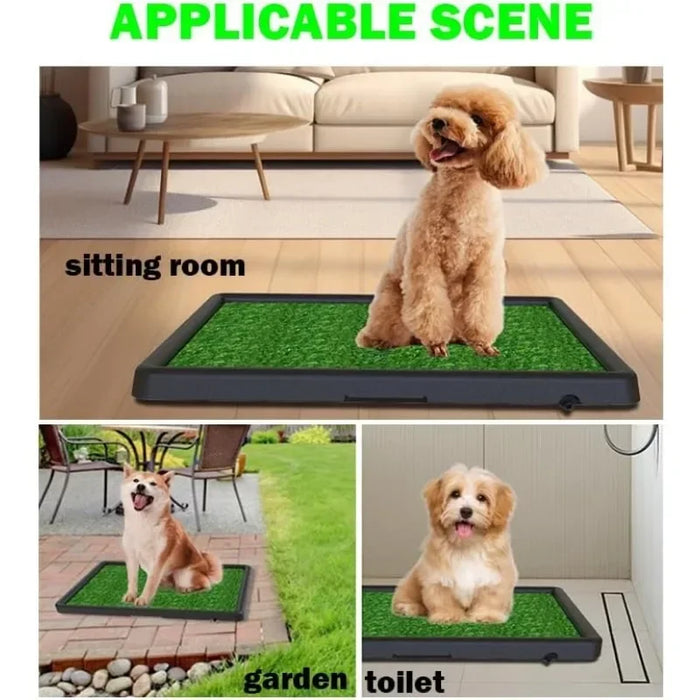 1 Dog Toilet – Indoor Grass Pad with Drainage Tray