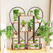 6 Tier Black Metal Plant Stand, Creative Half Heart Ladder Indoor Plant Shelf Rack - A stylish and functional black metal plant stand with 6 tiers