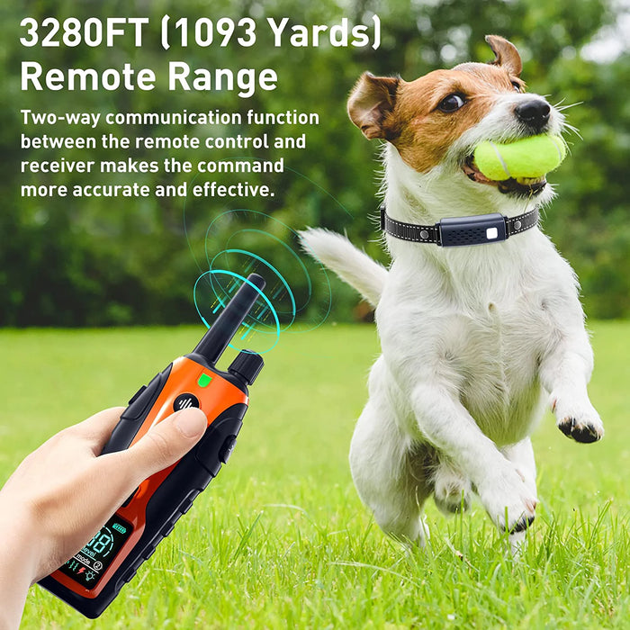 Dual-channel remote for training two dogs simultaneously