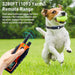 Dual-channel remote for training two dogs simultaneously