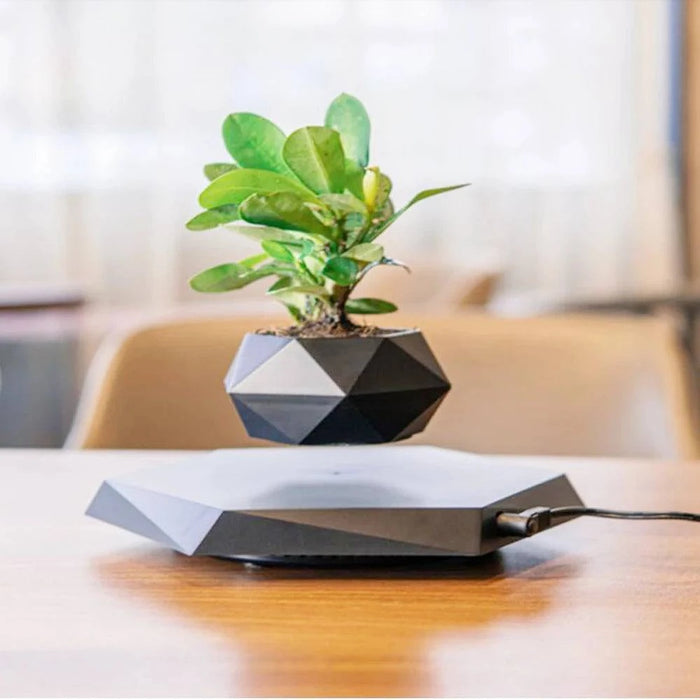 Elegant Black Magnetic Floating Bonsai Pot for Artificial Flowers in 360-Degree View