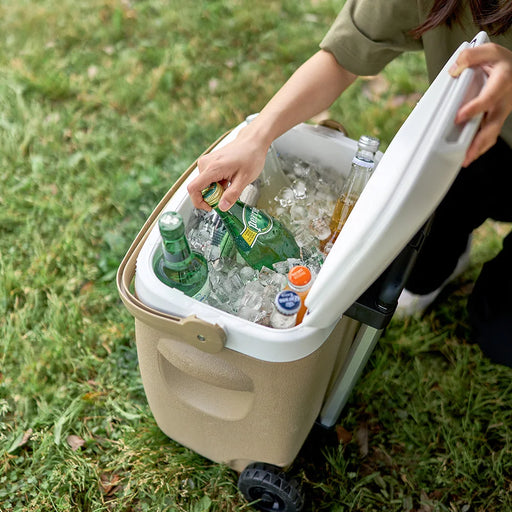 Medium-Sized 17L Capacity Cooler Bag for Family Picnics and BBQs