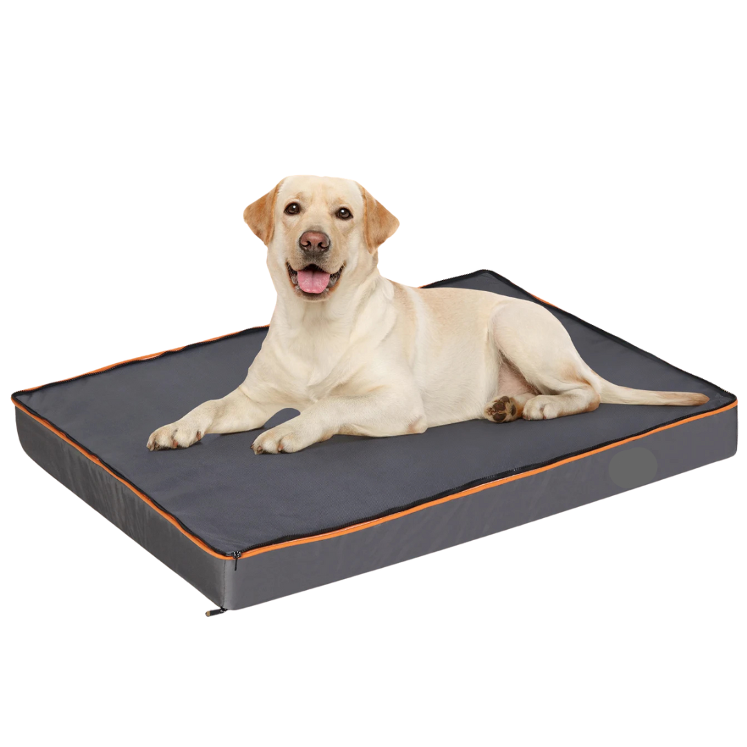 Pet Supplies